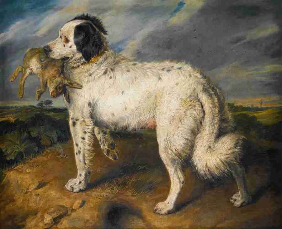 landseer Art A4 Photo Print