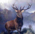landseer Monarch of the Glen Art A4 Photo Print