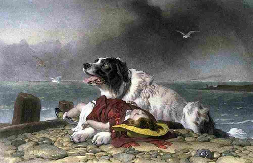 landseer Saved Art A4 Photo Print