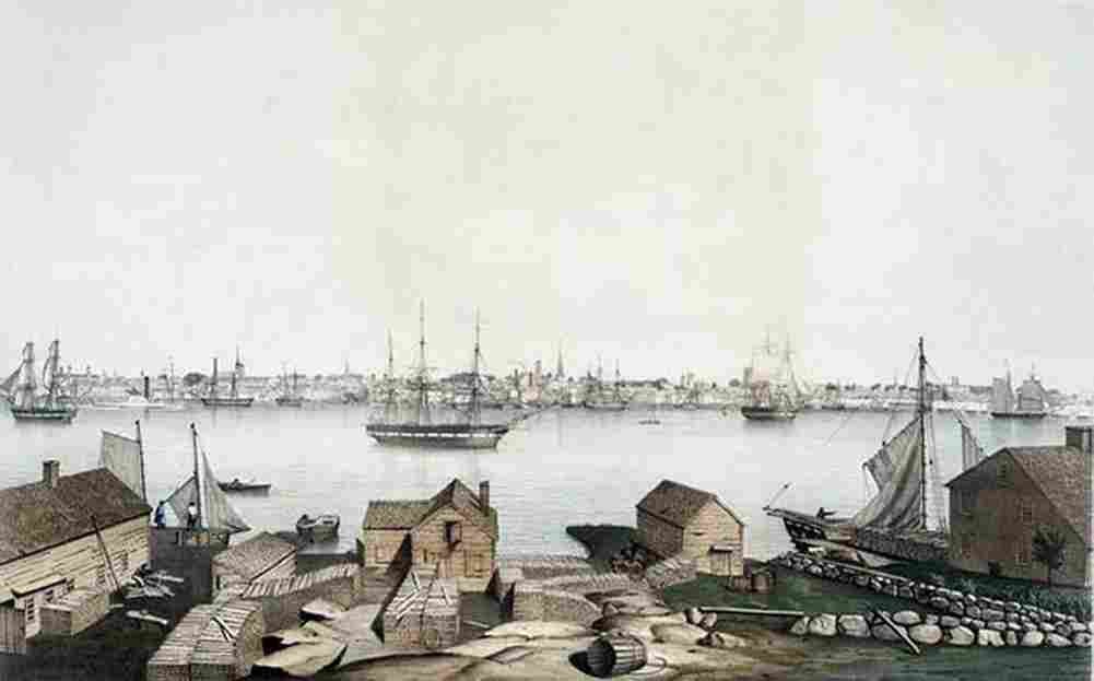 lane Newburyport Art A4 Photo Print