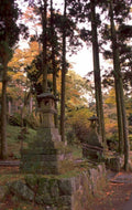 lanterns temple forest 1980s 1990s A4 Photo Print