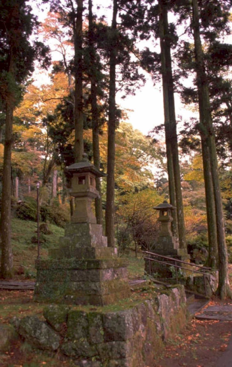 lanterns temple forest 1980s 1990s A4 Photo Print