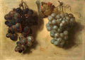 larg Two Clusters of Grapes Art A4 Photo Print