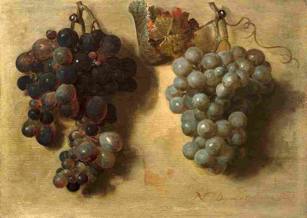larg Two Clusters of Grapes Art A4 Photo Print