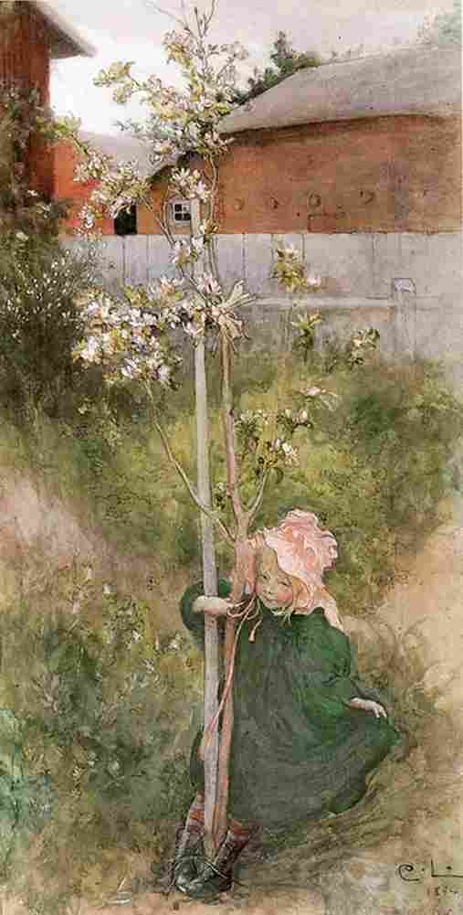 lars Apple Blossom Art A4 Photo Print