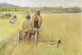 lars Mowing Art A4 Photo Print