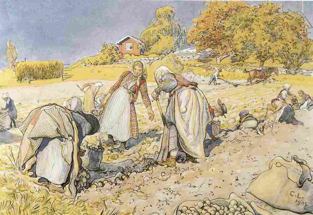 lars The Potato Harvest Art A4 Photo Print