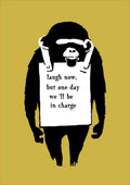 laugh now monkey chimp plus 2 A4 Photo Print