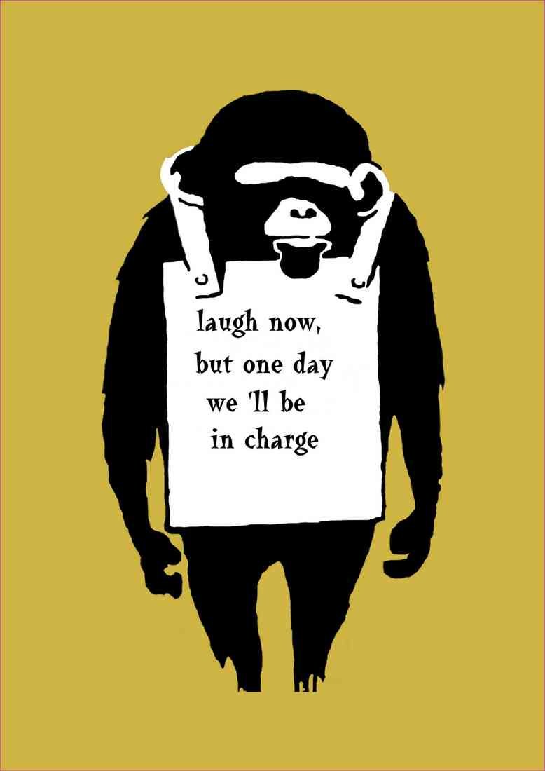 laugh now monkey chimp plus 2 A4 Photo Print