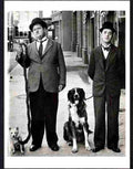 laurel and hardy with dogs Advert A4 Photo Print