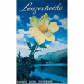 lenzerheide k heinze a pedrett 1940 2 Advert A4 Photo Print