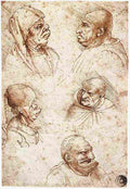 leonardo da vinci Five Heads Art A4 Photo Print