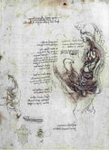 leonardo da vinci Hemisected Man and Woman Art A4 Photo Print