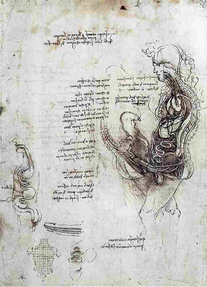 leonardo da vinci Hemisected Man and Woman Art A4 Photo Print