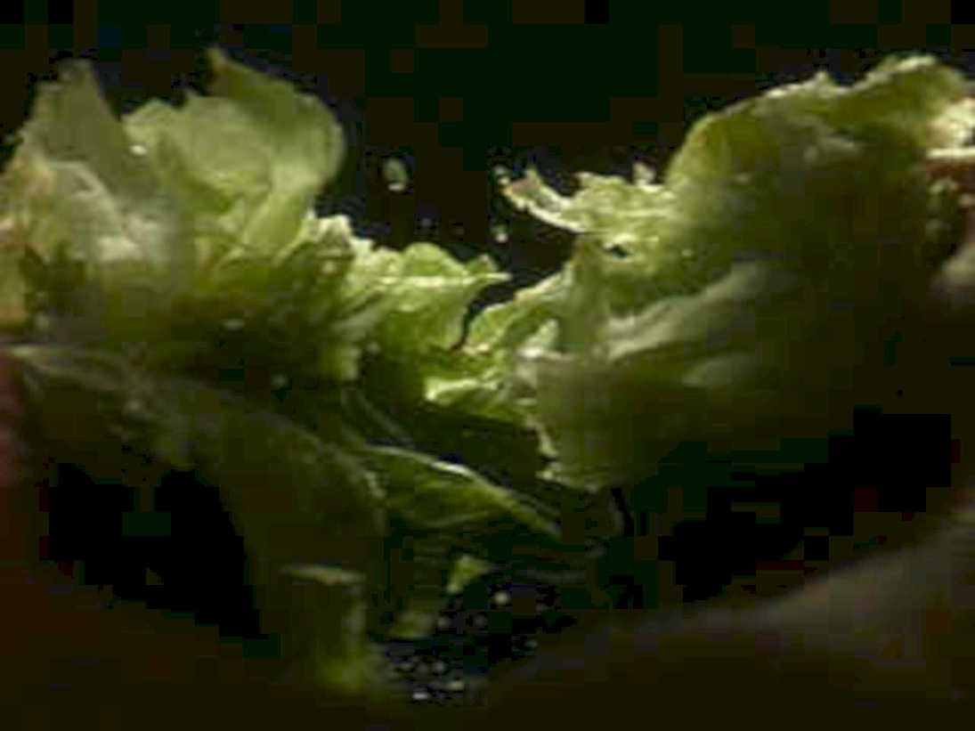 lettuce water splash1980s 1990s A4 Photo Print