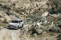 lexus lx 2021 7179 90 Car A4 Photo Print