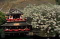 li river pavilion 1980s 1990s A4 Photo Print