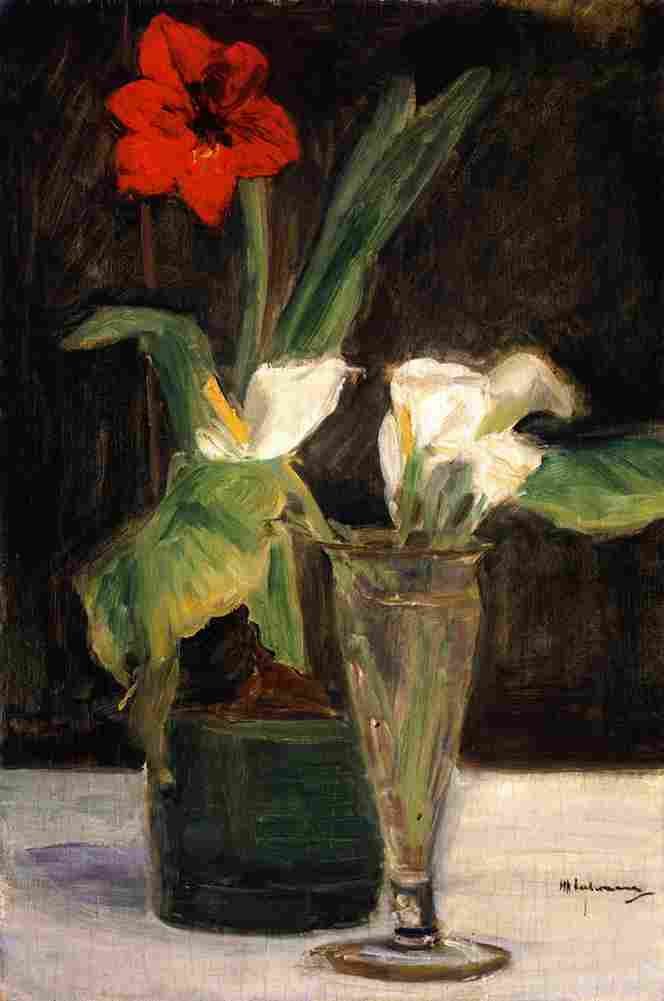 liebermann amaryllis and calla lilies Art A4 Photo Print