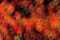lightpainting flameloops warmtones 1980s 1990s A4 Photo Print