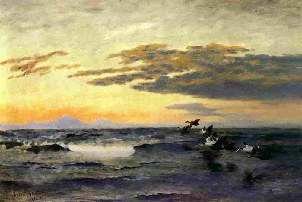 lil Eiders at Sunrise Art A4 Photo Print