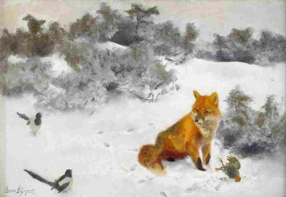lil Fox in Winter Art A4 Photo Print