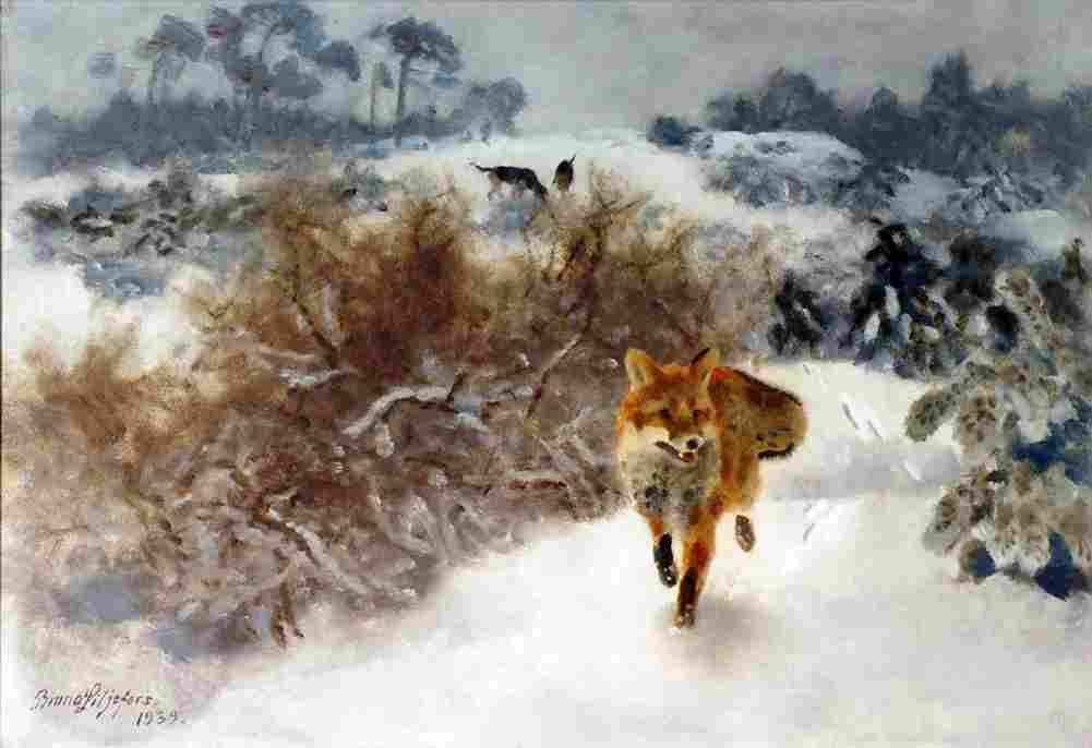 lil Fox in Winter Landscape Art A4 Photo Print