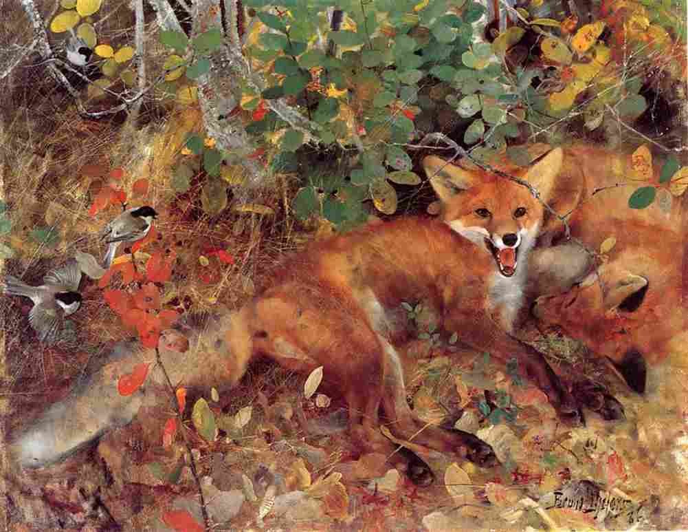 lil Foxes Art A4 Photo Print