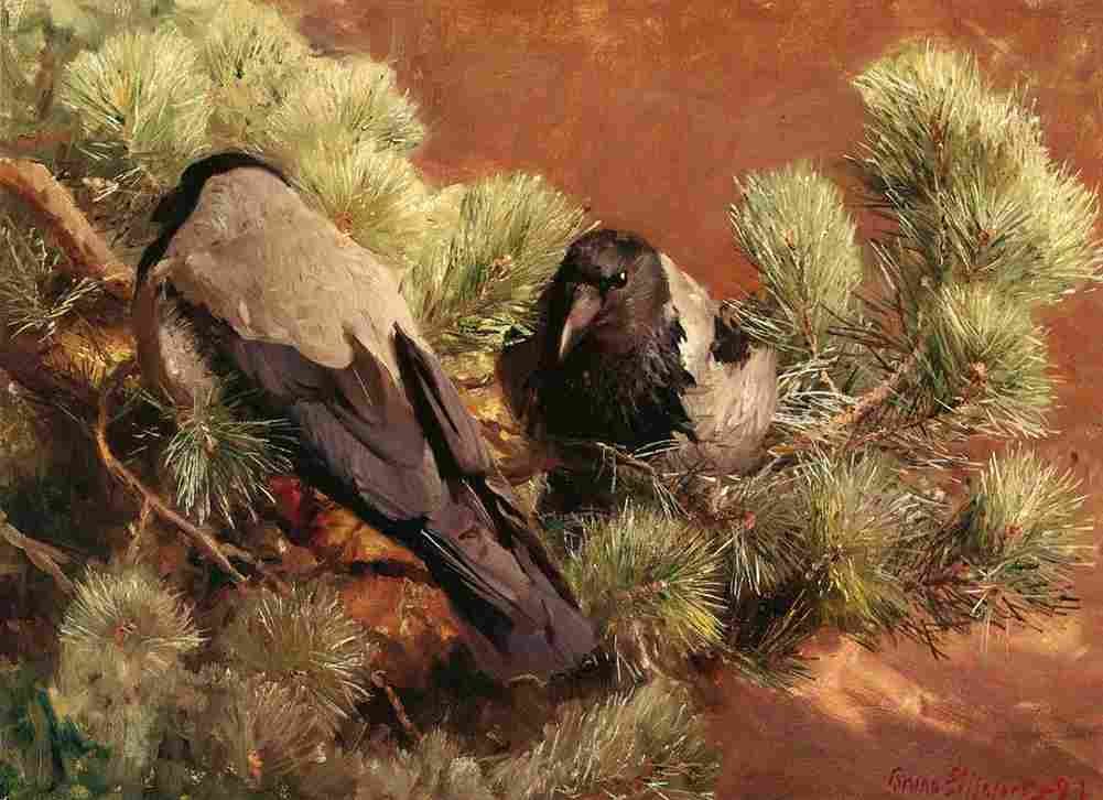 lil Hooded Crows Art A4 Photo Print