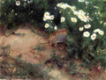 lil Partridge with Daisies Art A4 Photo Print