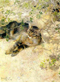 lil Sleeping Jeppe Art A4 Photo Print
