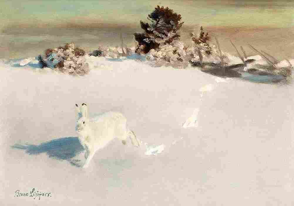 lil Winter Hare at the Fence Art A4 Photo Print