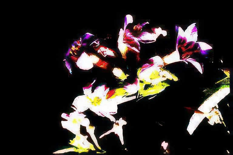 lilies pink white Vintage A4 Photo Print
