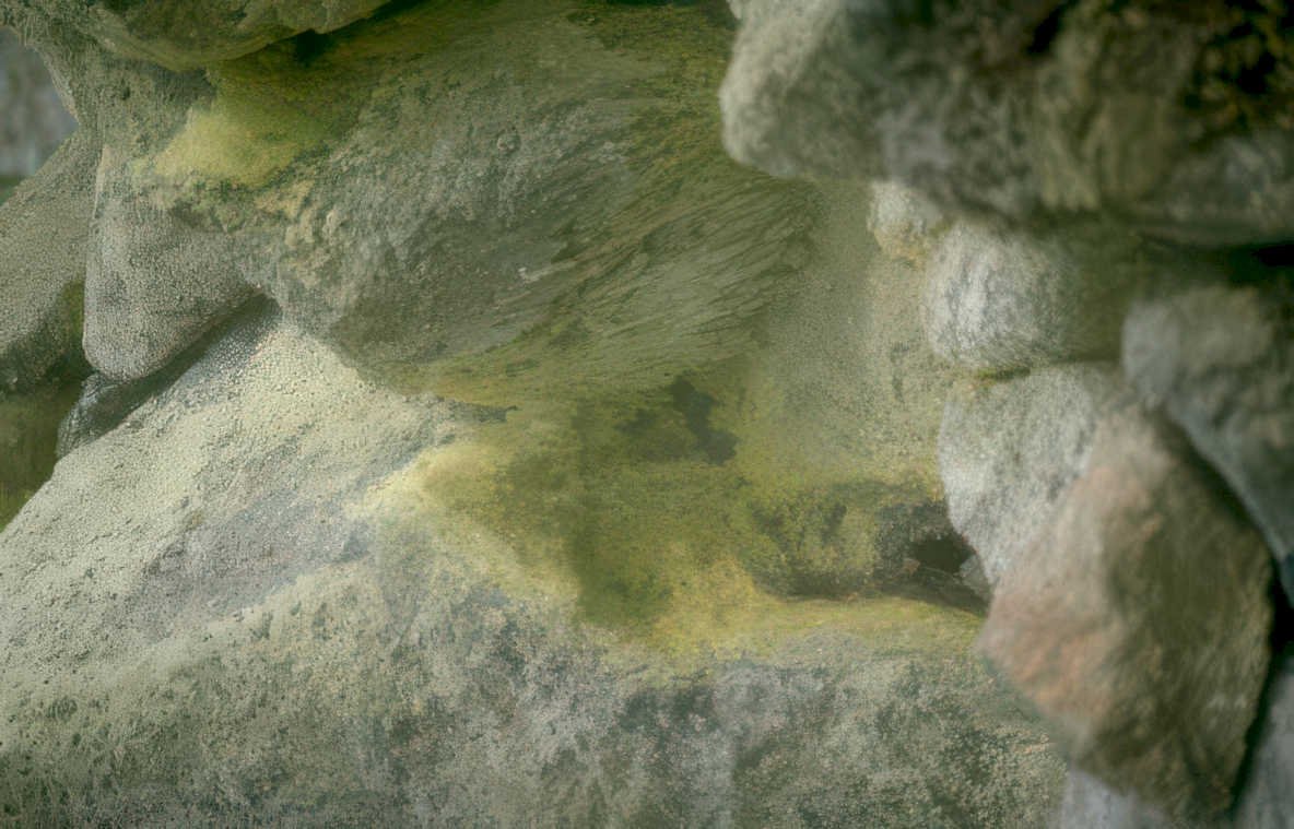 limestone lichen rock Vintage A4 Photo Print