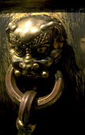 lion head ring 1980s 1990s A4 Photo Print