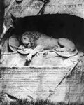 lion luc Art A4 Photo Print