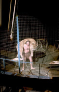 lion trainer arena Vintage A4 Photo Print