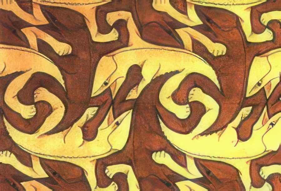 lizard mc escher A4 Photo Print