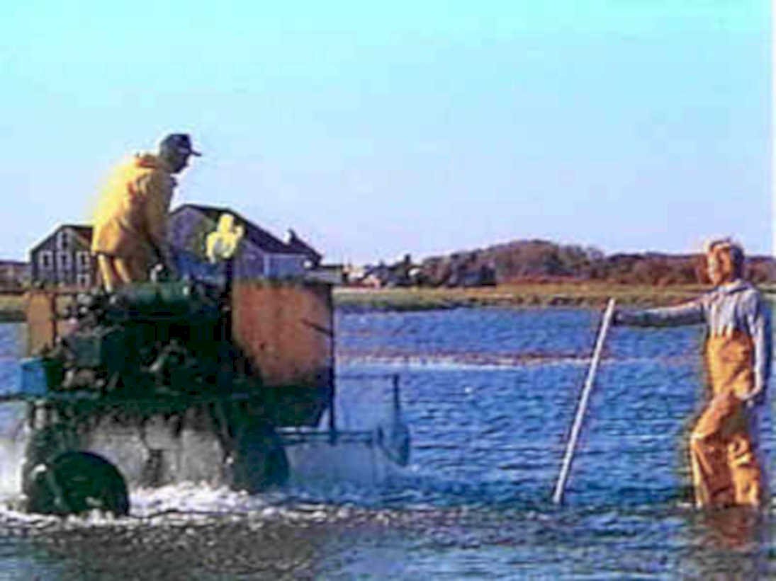 lobster trap atlantic1980s 1990s A4 Photo Print