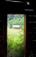 log cabin meadow 1980s 1990s A4 Photo Print