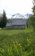 log cabin research 1980s 1990s A4 Photo Print