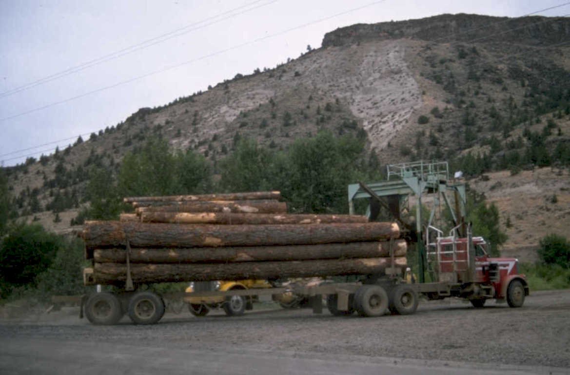 log truck western 1980s 1990s A4 Photo Print