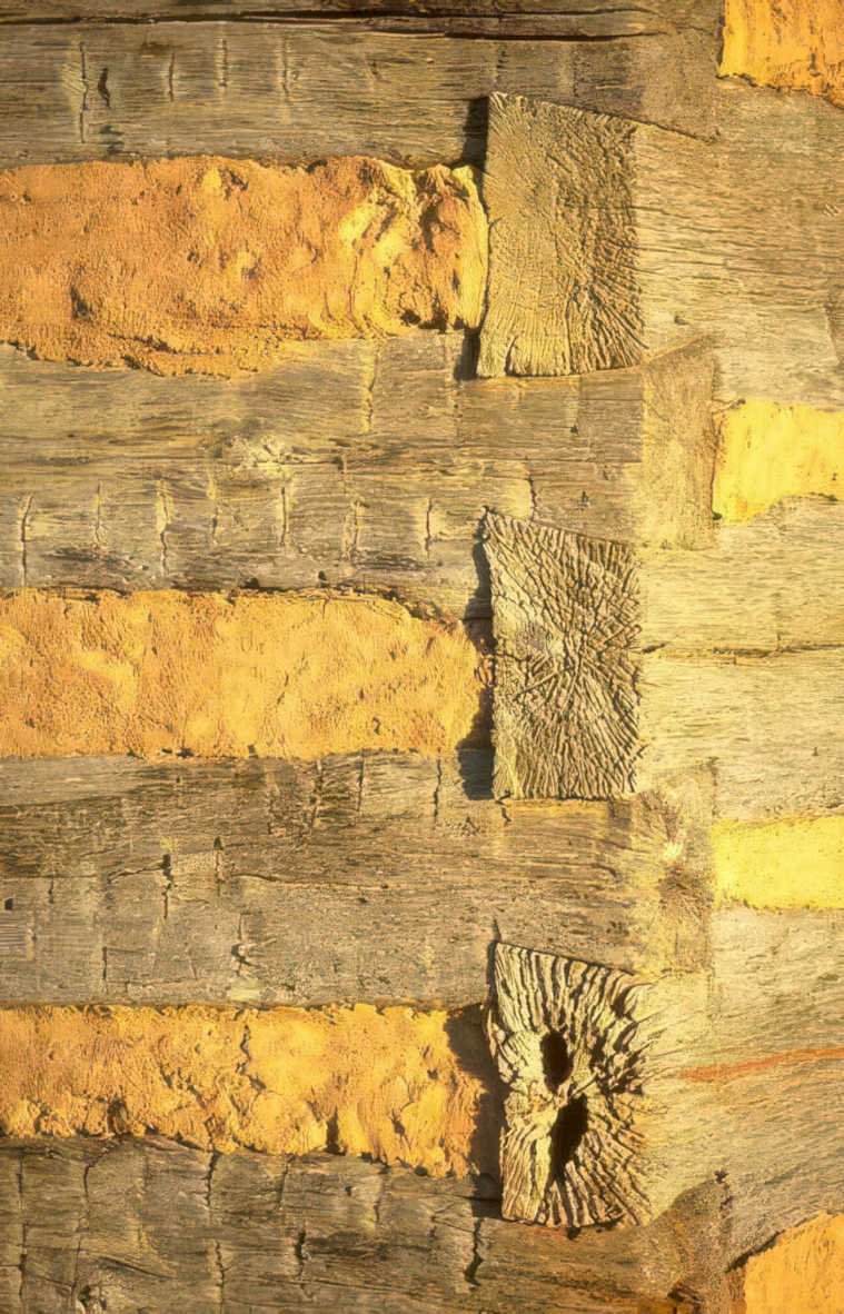 log wall detail Vintage A4 Photo Print