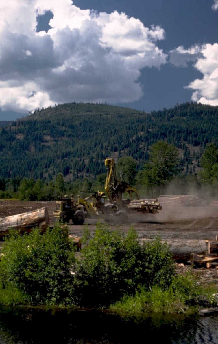logging operation forest 1980s 1990s A4 Photo Print