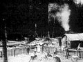 logging operation1980s 1990s A4 Photo Print