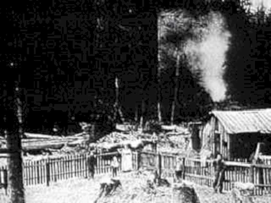 logging operation1980s 1990s A4 Photo Print