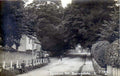 london rd basingstokeVintage 1880s 1900s A4 Photo Print