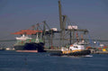 los angeles harbor 2 1980s 1990s A4 Photo Print