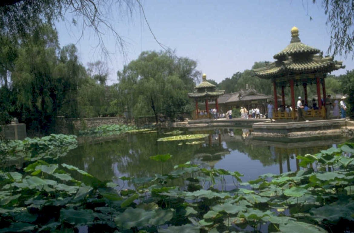 lotus pavilion reflection 1980s 1990s A4 Photo Print