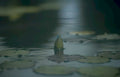 lotus pond reflection GIGA Vintage A4 Photo Print