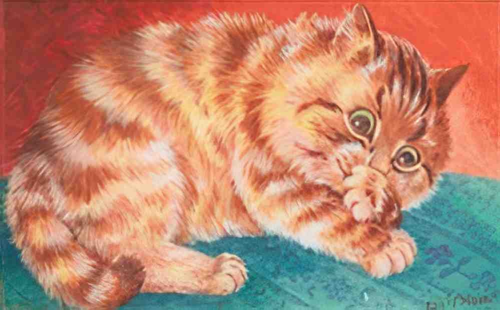 louis wain a cheeky kitten Art A4 Photo Print